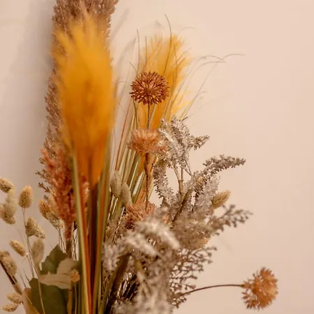 Apartman Porta Mare Zacisze & *