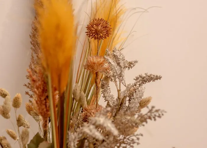 Appartement Porta Mare Zacisze & *